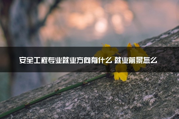 安全工程专业就业方向有什么 就业前景怎么样