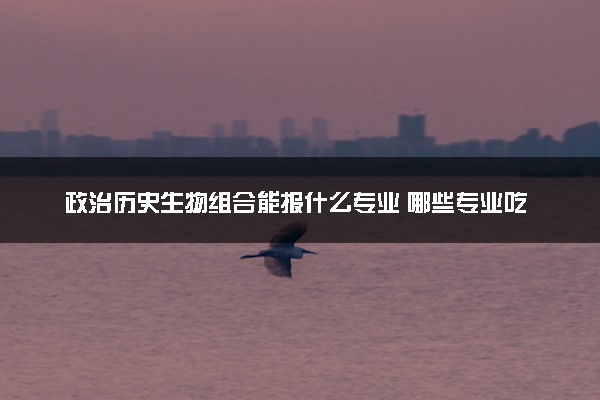 政治历史生物组合能报什么专业 哪些专业吃香