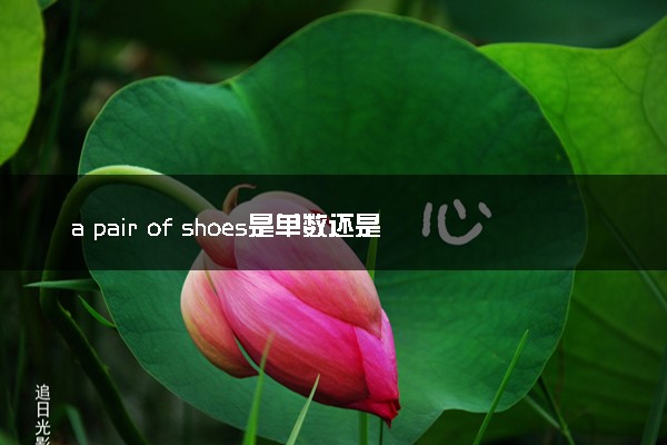 a pair of shoes是单数还是复数 什么意思