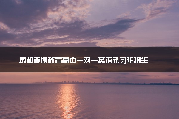 成都美博教育高中一对一英语补习班招生