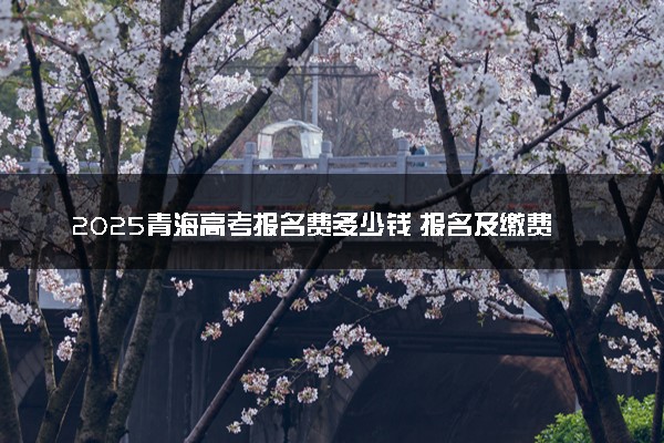 2025青海高考报名费多少钱 报名及缴费入口