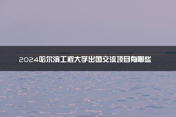 2024哈尔滨工程大学出国交流项目有哪些 留学机会多吗