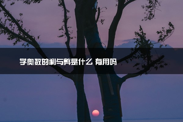 学奥数的利与弊是什么 有用吗