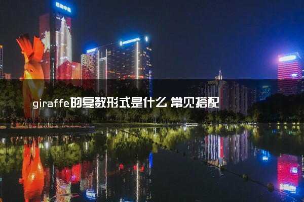 giraffe的复数形式是什么 常见搭配及例句