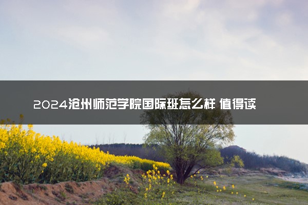 2024沧州师范学院国际班怎么样 值得读吗