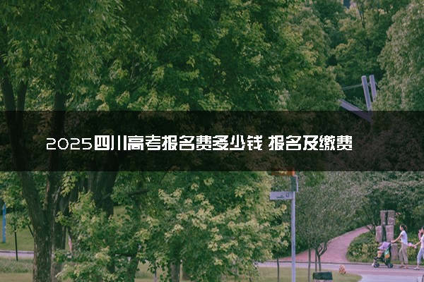 2025四川高考报名费多少钱 报名及缴费入口