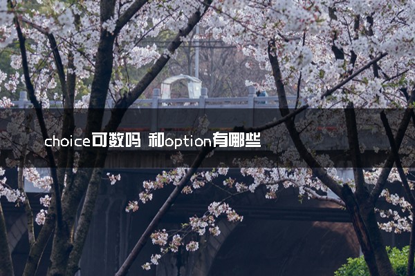 choice可数吗 和option有哪些不同