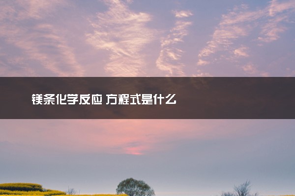 镁条化学反应 方程式是什么