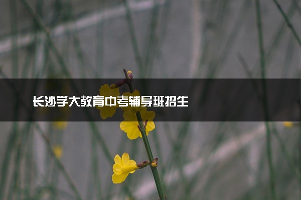 长沙学大教育中考辅导班招生