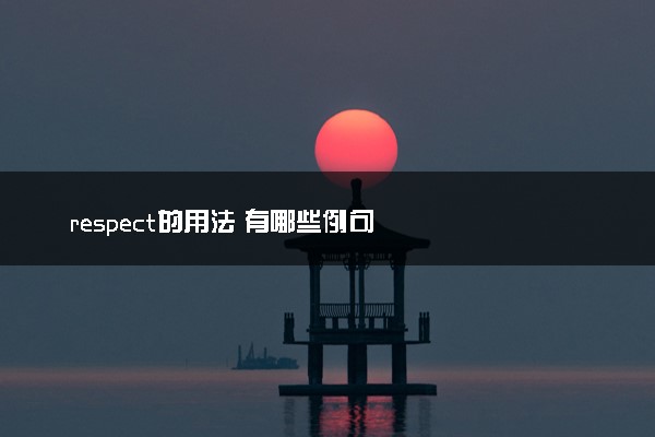 respect的用法 有哪些例句