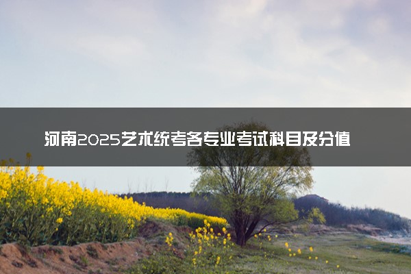 河南2025艺术统考各专业考试科目及分值分布