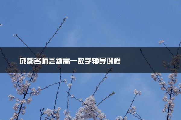 成都名师荟新高一数学辅导课程