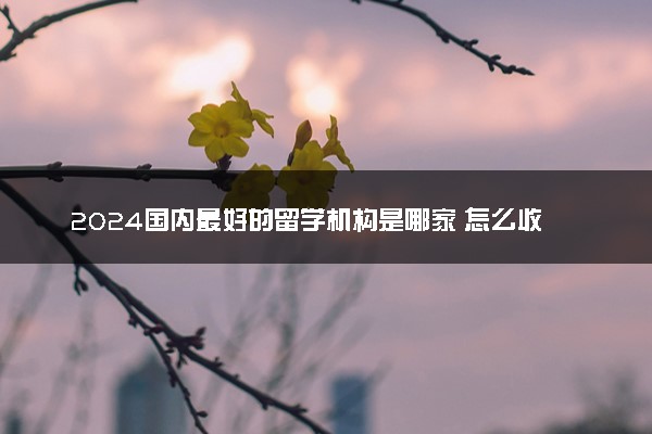 2024国内最好的留学机构是哪家 怎么收费