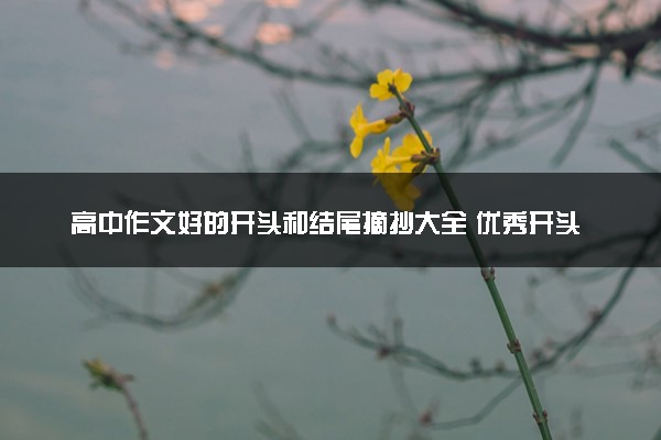 高中作文好的开头和结尾摘抄大全 优秀开头合集