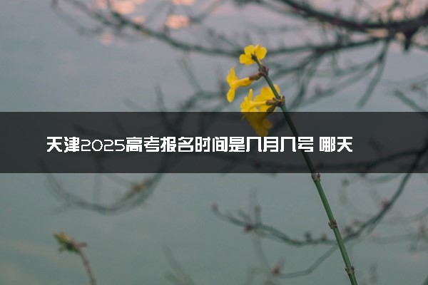 天津2025高考报名时间是几月几号 哪天截止报名