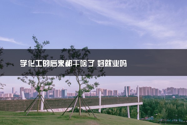 学化工的后来都干啥了 好就业吗