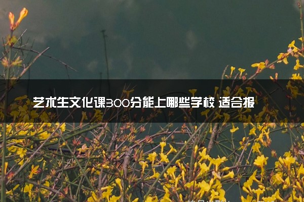 艺术生文化课300分能上哪些学校 适合报考什么大学