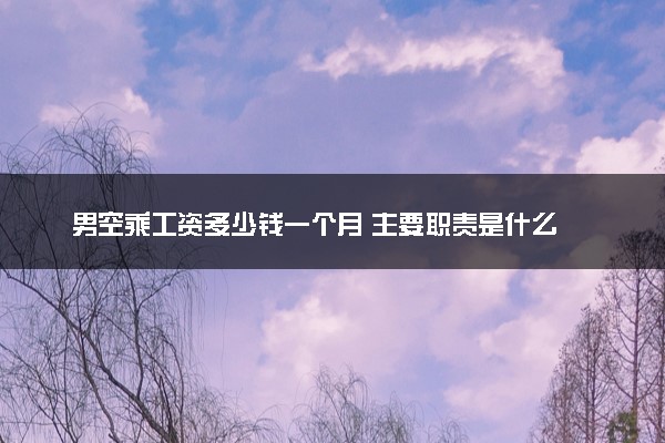 男空乘工资多少钱一个月 主要职责是什么