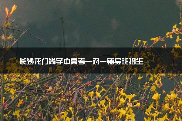 长沙龙门尚学中高考一对一辅导班招生