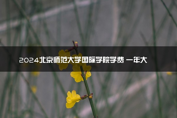 2024北京师范大学国际学院学费 一年大概要花多少钱