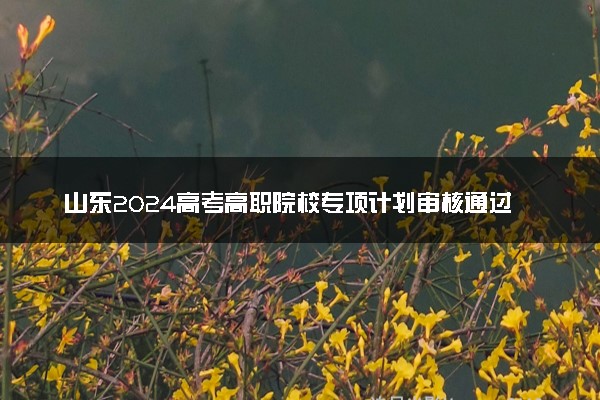 山东2024高考高职院校专项计划审核通过名单公布