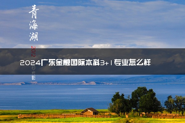 2024广东金融国际本科3+1专业怎么样 值得读吗