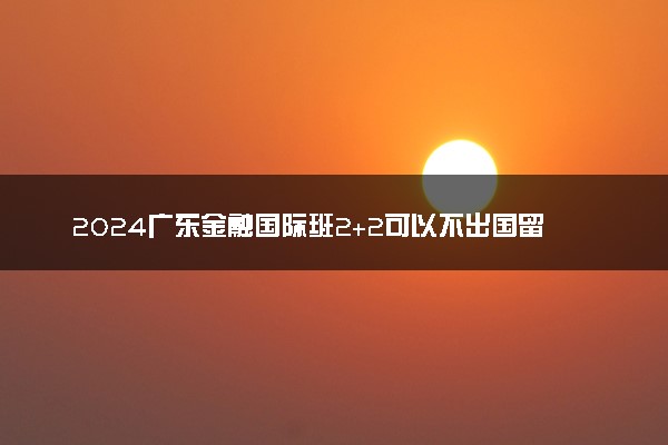 2024广东金融国际班2+2可以不出国留学的吗