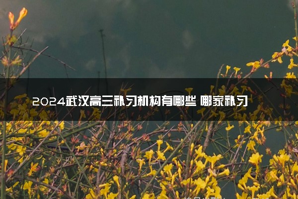 2024武汉高三补习机构有哪些 哪家补习效果好