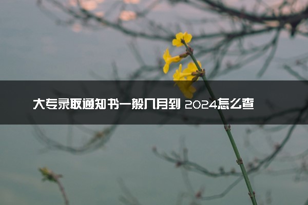 大专录取通知书一般几月到 2024怎么查通知书到哪了