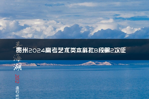 贵州2024高考艺术类本科批B段第2次征集志愿投档信息表