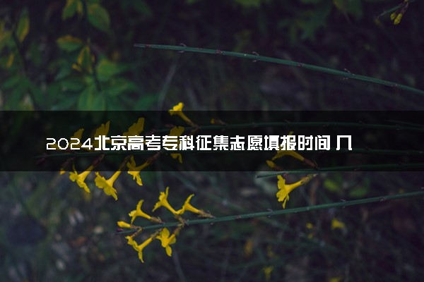 2024北京高考专科征集志愿填报时间 几号几点截止