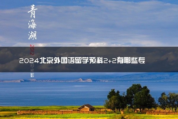 2024北京外国语留学预科2+2有哪些专业可以报