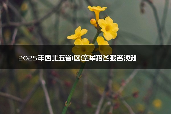 2025年西北五省(区)空军招飞报名须知 选拔流程是什么