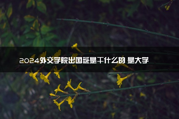 2024外交学院出国班是干什么的 是大学吗