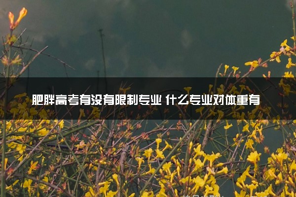 肥胖高考有没有限制专业 什么专业对体重有要求