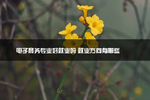 电子商务专业好就业吗 就业方向有哪些