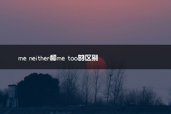 me neither和me too的区别 有什么不同之处