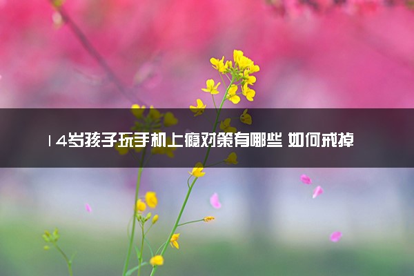 14岁孩子玩手机上瘾对策有哪些 如何戒掉玩手机的习惯