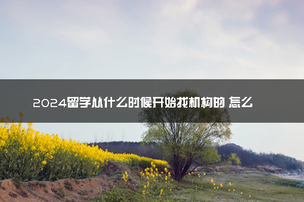 2024留学从什么时候开始找机构的 怎么找