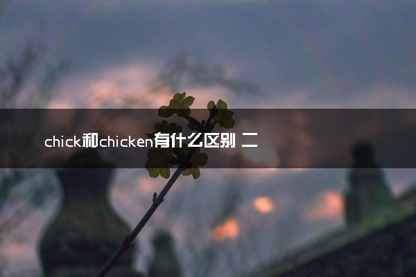 chick和chicken有什么区别 二者有何不同