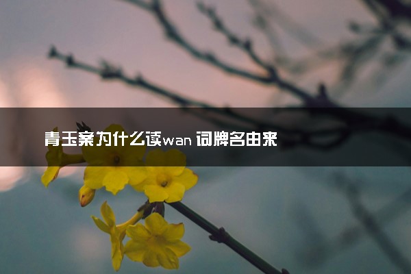 青玉案为什么读wan 词牌名由来