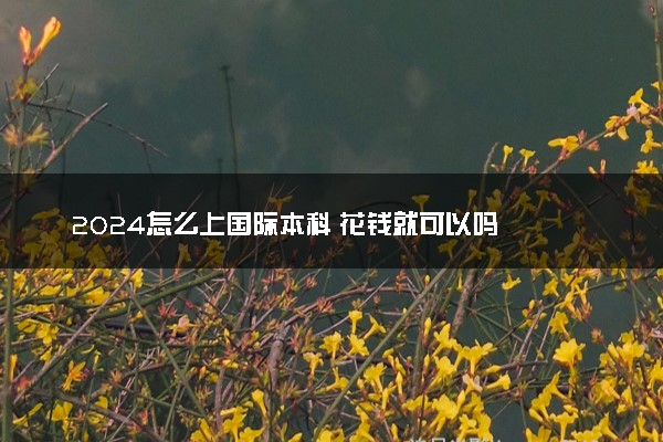 2024怎么上国际本科 花钱就可以吗