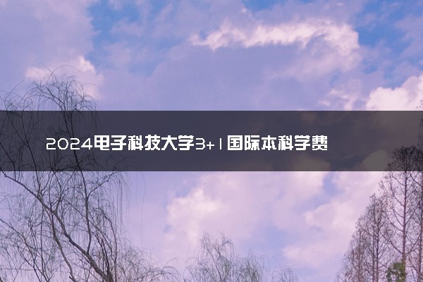 2024电子科技大学3+1国际本科学费