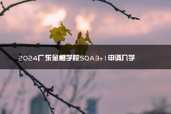 2024广东金融学院SQA3+1申请入学条件