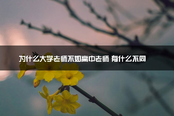 为什么大学老师不如高中老师 有什么不同