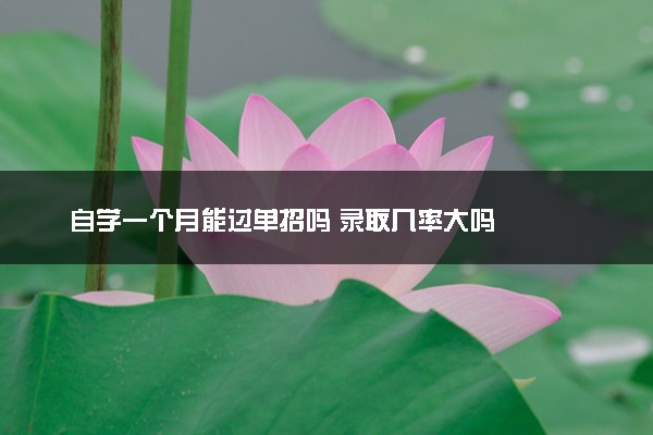 自学一个月能过单招吗 录取几率大吗