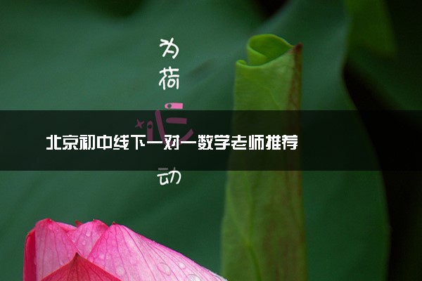 北京初中线下一对一数学老师推荐