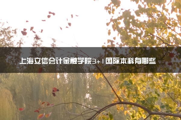 上海立信会计金融学院3+1国际本科有哪些专业？