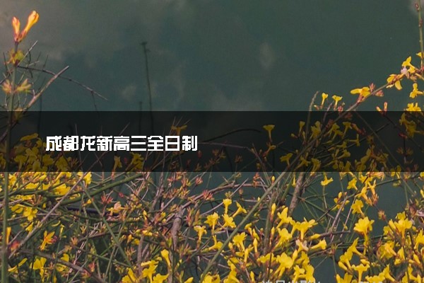 成都龙新高三全日制