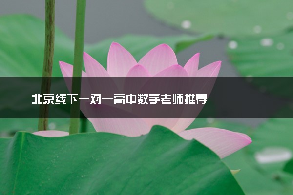 北京线下一对一高中数学老师推荐